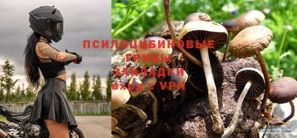 каннабис Беломорск